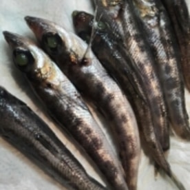 頭から全部食べられる めひかりの唐揚げ レシピ 作り方 By Syori74 楽天レシピ 頭から全部食べられる めひかりの唐揚げ レシピ 作り方 By Syori74 楽天レシピ